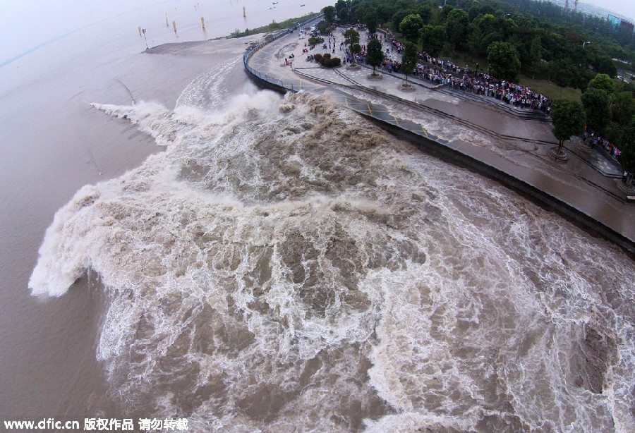 Typhoon leaves death and chaos in its path