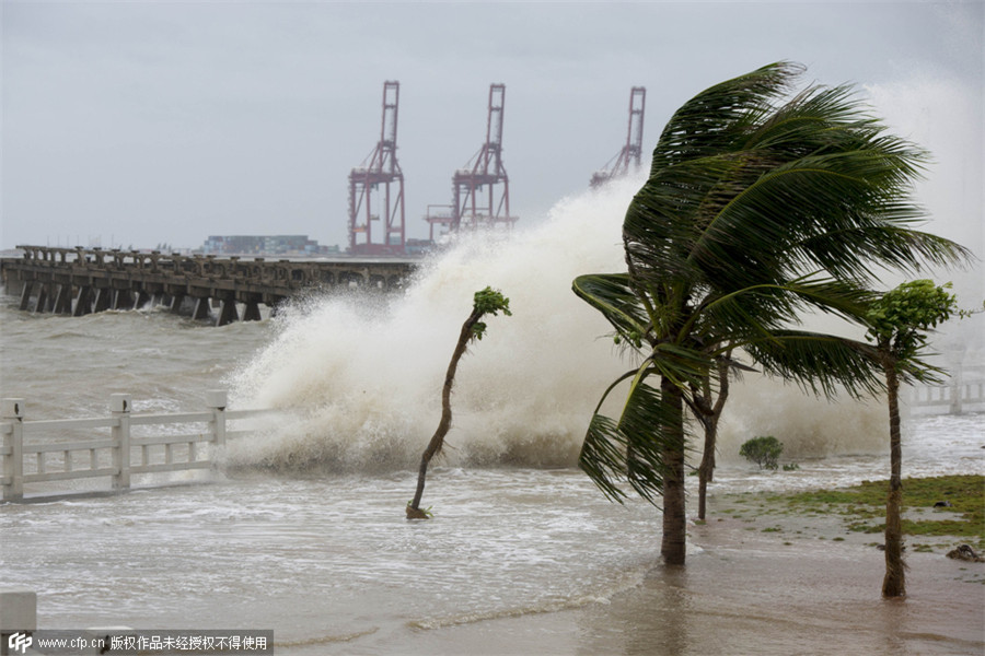 Typhoon Mujigae wreaks havoc in South China