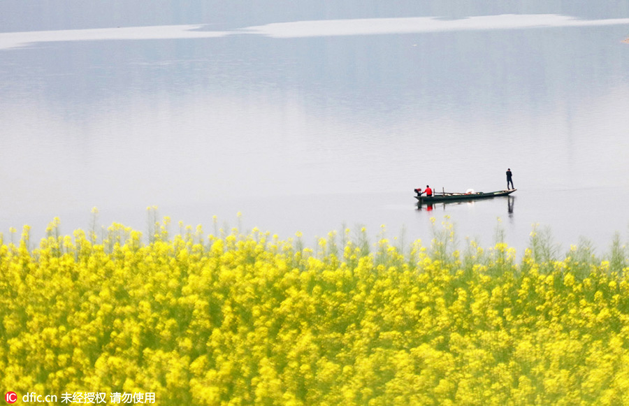 Discover beautiful China in spring blossom (IV)