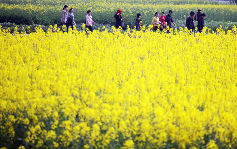 Best tourist spots for crowd-free May Day holiday snaps