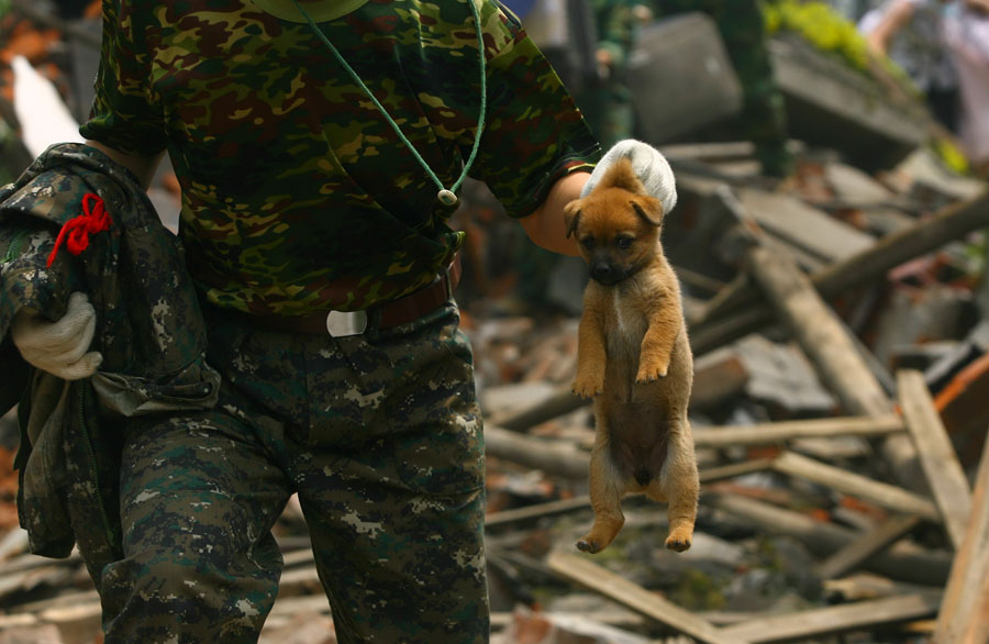 Wenchuan Earthquake eight years later: never forget