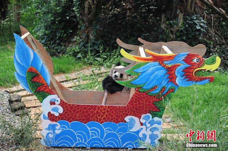 Row your dragon boat, pandas!