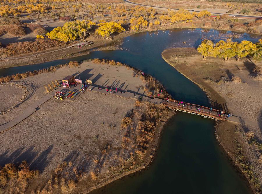 Ejin oasis in N China famous for diversiform-leaved poplar forests