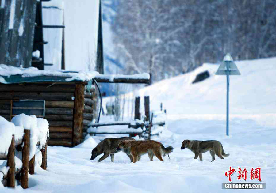 Snow-covered village in Xinjiang