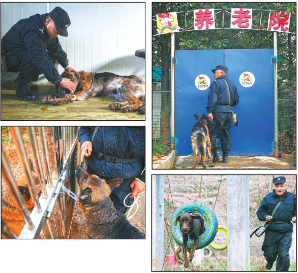 Retired police dogs still being of service