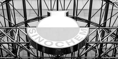 Sinochem to bid for Iraqi oil assets