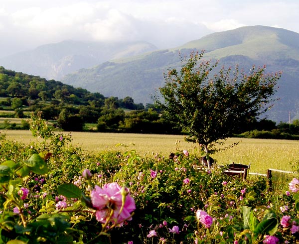 Chinese 'Survivors' get taste of Bulgarian mountain village