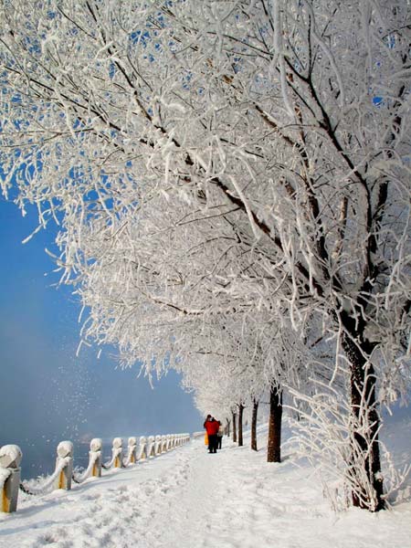 最美雪景 吉林雾凇