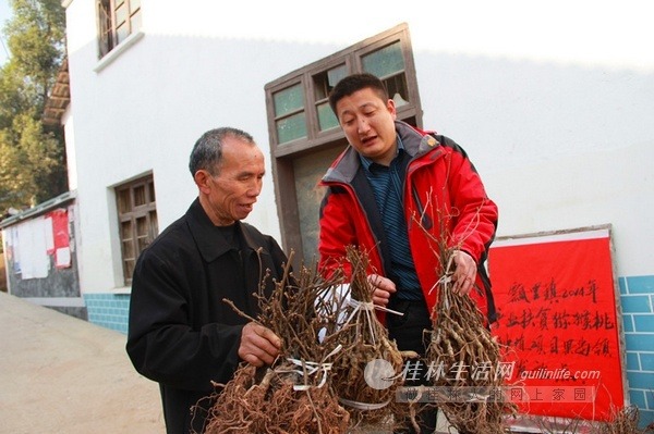 新春走基层：节前乡镇干部不应酬迎检而是下村调查服务