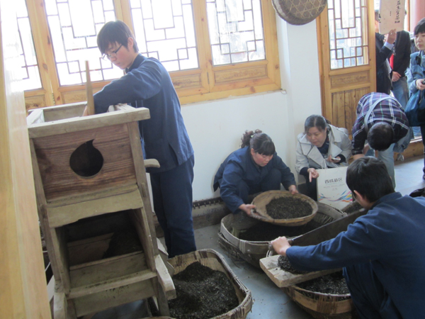 走进 “茯茶之源” 体验手工筑制茯茶工艺