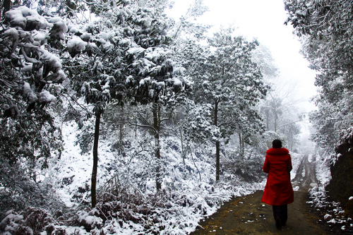 威远县慈姑塘雪景