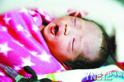 定西地震：3孤儿含泪埋葬了妈妈 17岁的她从此成了家长