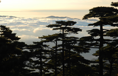 黄山风景区：优质服务绘就亮丽的风景线