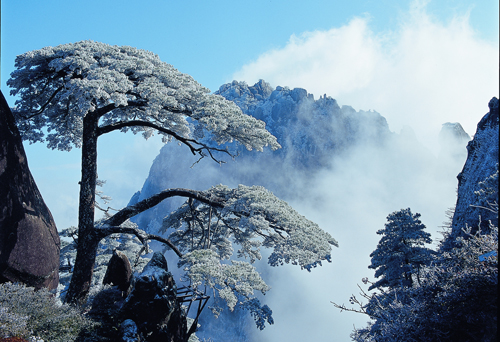 2012黄山冬游政策出台 会议旅游奖励成为新亮点