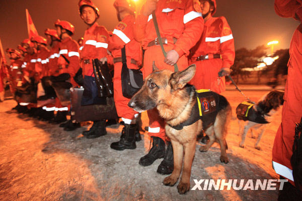 中国国际救援队赴海地救援