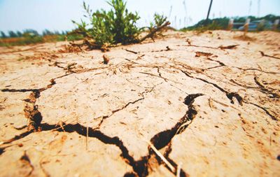 全国耕地受旱面积超1亿亩