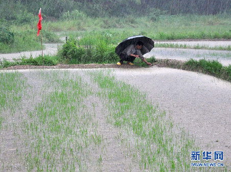 长江中下游“旱涝急转” 专家解读极端天气现象