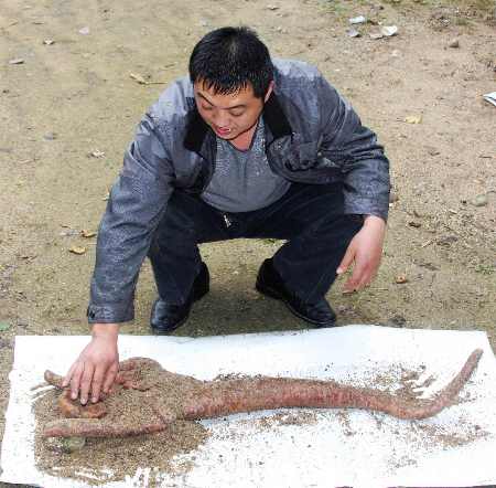 西峡一村民挖出“佛手”状巨型野生山药