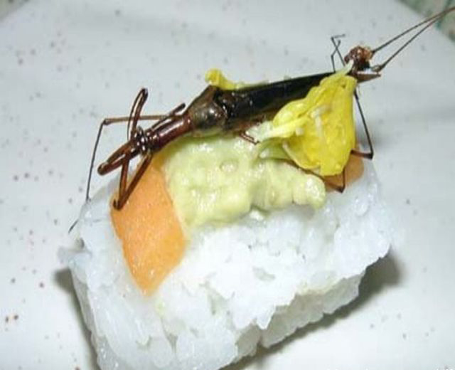 重口味:昆虫寿司你敢吃吗?