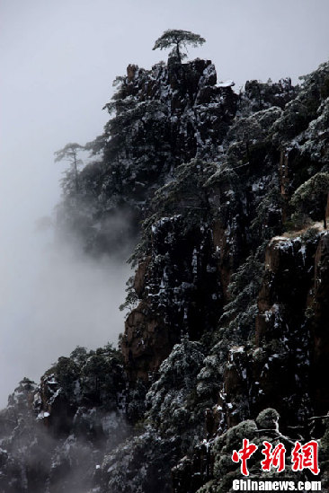 黄山迎来今冬首场降雪