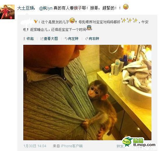 能买猴子当宠物 人类已经无法阻止网购了