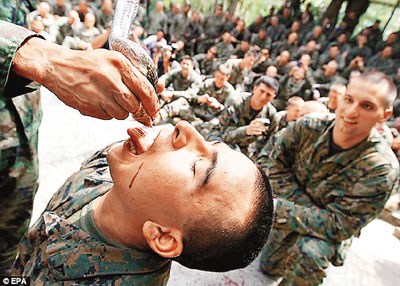 7国联合军演:美士兵杀毒蛇 喝蛇血吞内脏