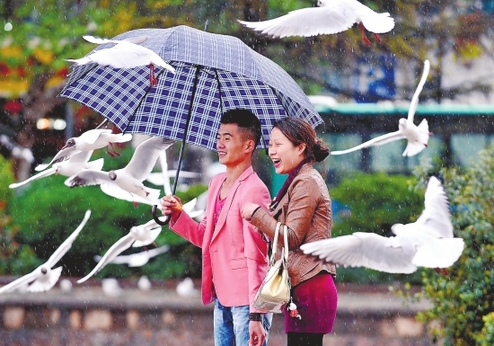 飞机飞滇增雨 云南全省降雨部分地区旱情缓和