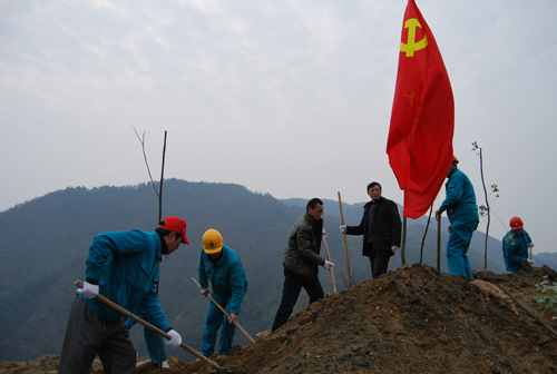 义务植树，其乐淘淘