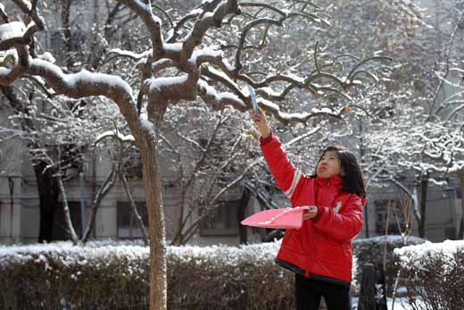 组图：三月降春雪 素裹银装扮靓京城