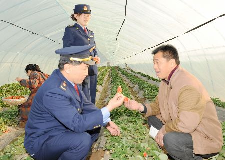 濮阳工商帮扶种植户 大力发展草莓种植