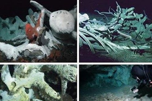 沉船遗骸 探秘不为人知的海底坟墓