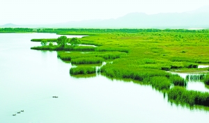 北京市人大拟立法：湿地内建房必须先做环评