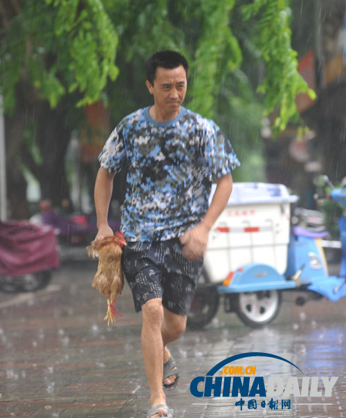 台风“启德”影响海南 局地暴雨