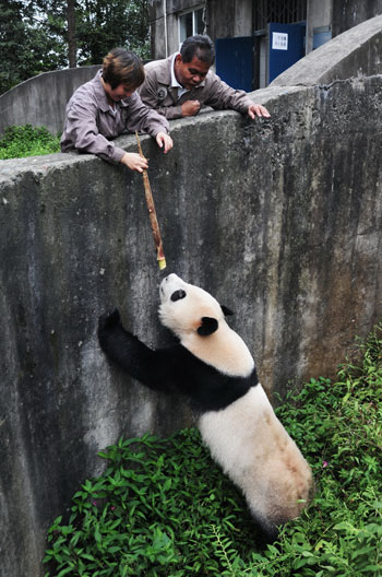 中国日报一周最佳图片9月1日—9月7日