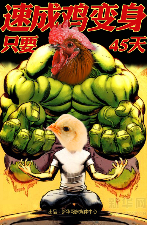 新华漫画:如何分辨土鸡VS速成鸡
