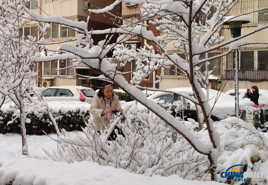 中国日报直击北京三月春雪