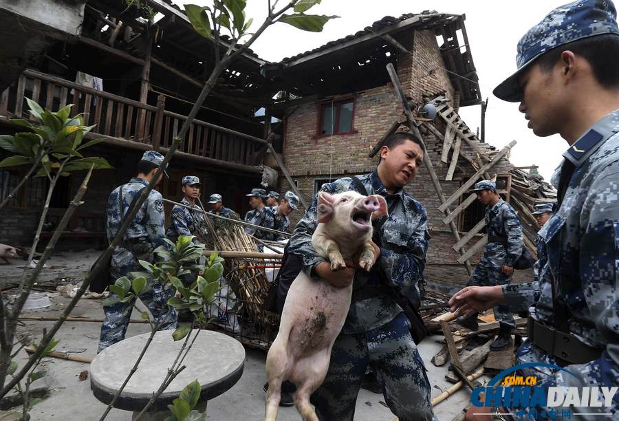 中国日报聚焦芦山地震之救援篇