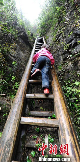 湖南桑植学生每周爬天梯悬崖求学