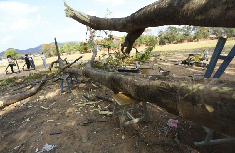 云南普洱一中学演讲时大树倒塌致1死28伤