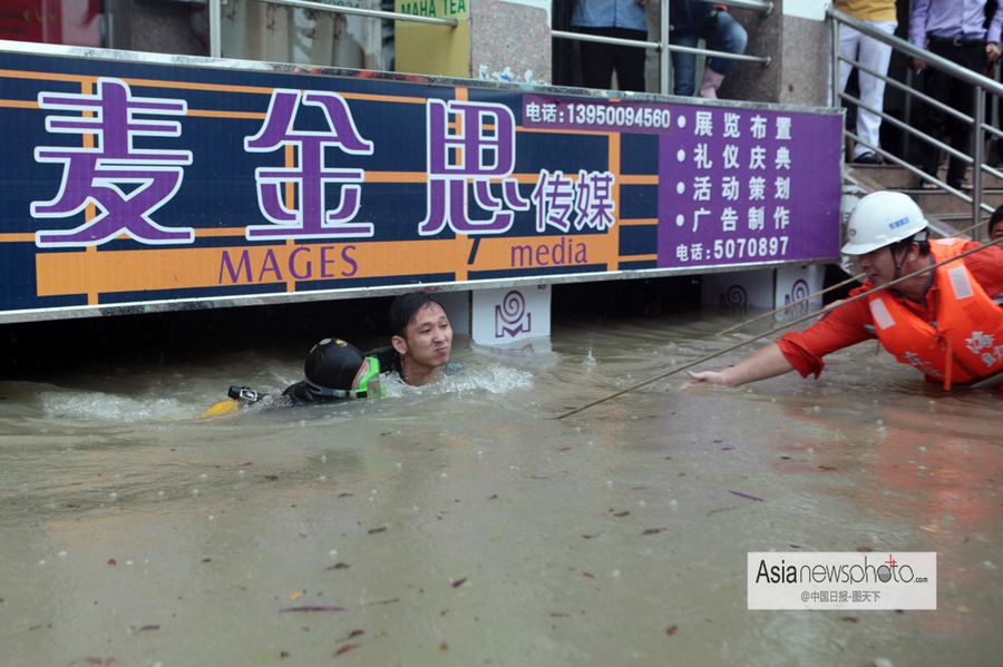 中国日报一周图片精选：5月11日—17日