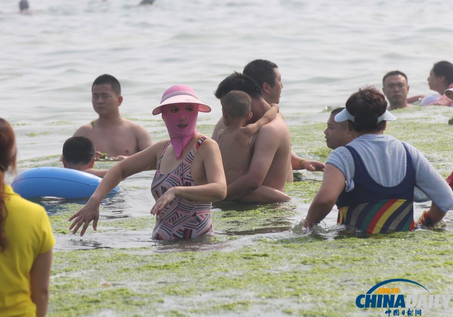 青岛迎入夏最大规模浒苔登陆