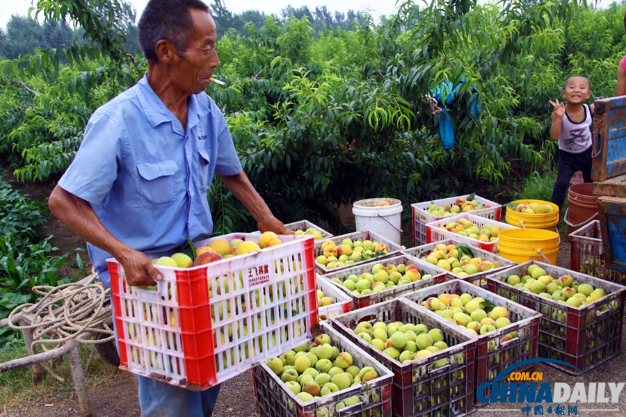 国家统计局：上半年GDP同比增长7.6%