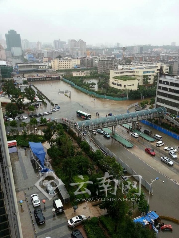 昆明一雨成泽