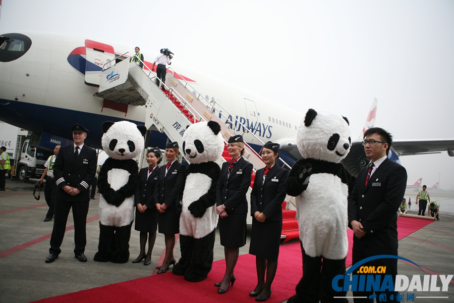 伦敦至成都直飞航班首航 “熊猫大使”列队欢迎