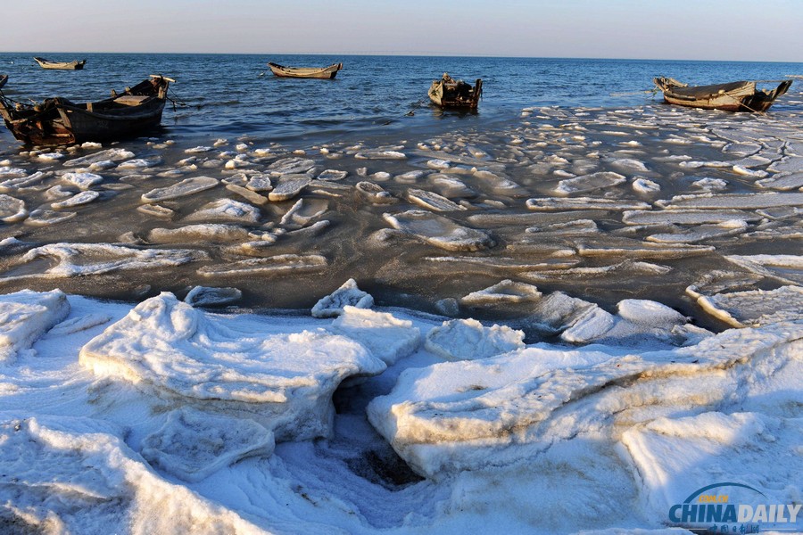 胶州湾出现初生海冰