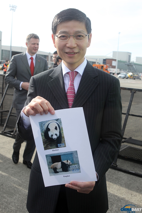 大熊猫“星徽”“好好”抵达比利时