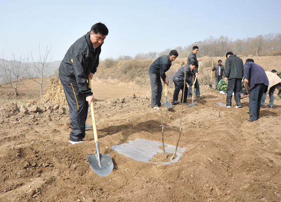 甘肃省清水县遍山栽下摇钱树 满载金果奔小康