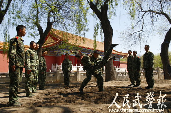 独家揭秘:守护国宝的紫禁城