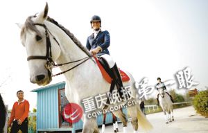 重庆马术队将落户巴滨路马术中心 可免费看千万元纯种马表演