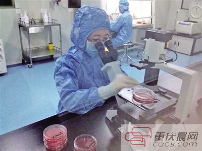 重庆水土高新园将建全球最大血液病医院